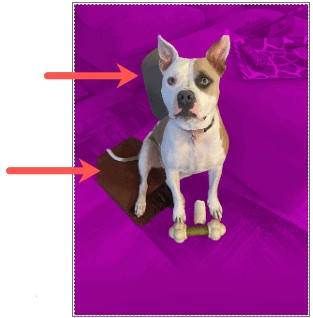 Bí quyết dùng PowerPoint để xóa nền ảnh bạn đã biết (3)