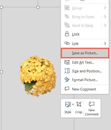 Bí quyết dùng PowerPoint để xóa nền ảnh bạn đã biết (6)