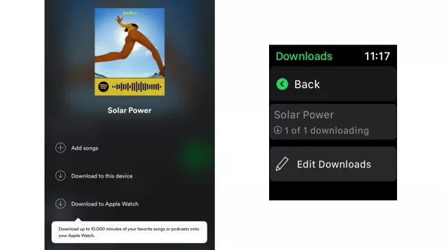 Cách nghe nhạc Spotify trên Apple Watch (Ảnh 5)