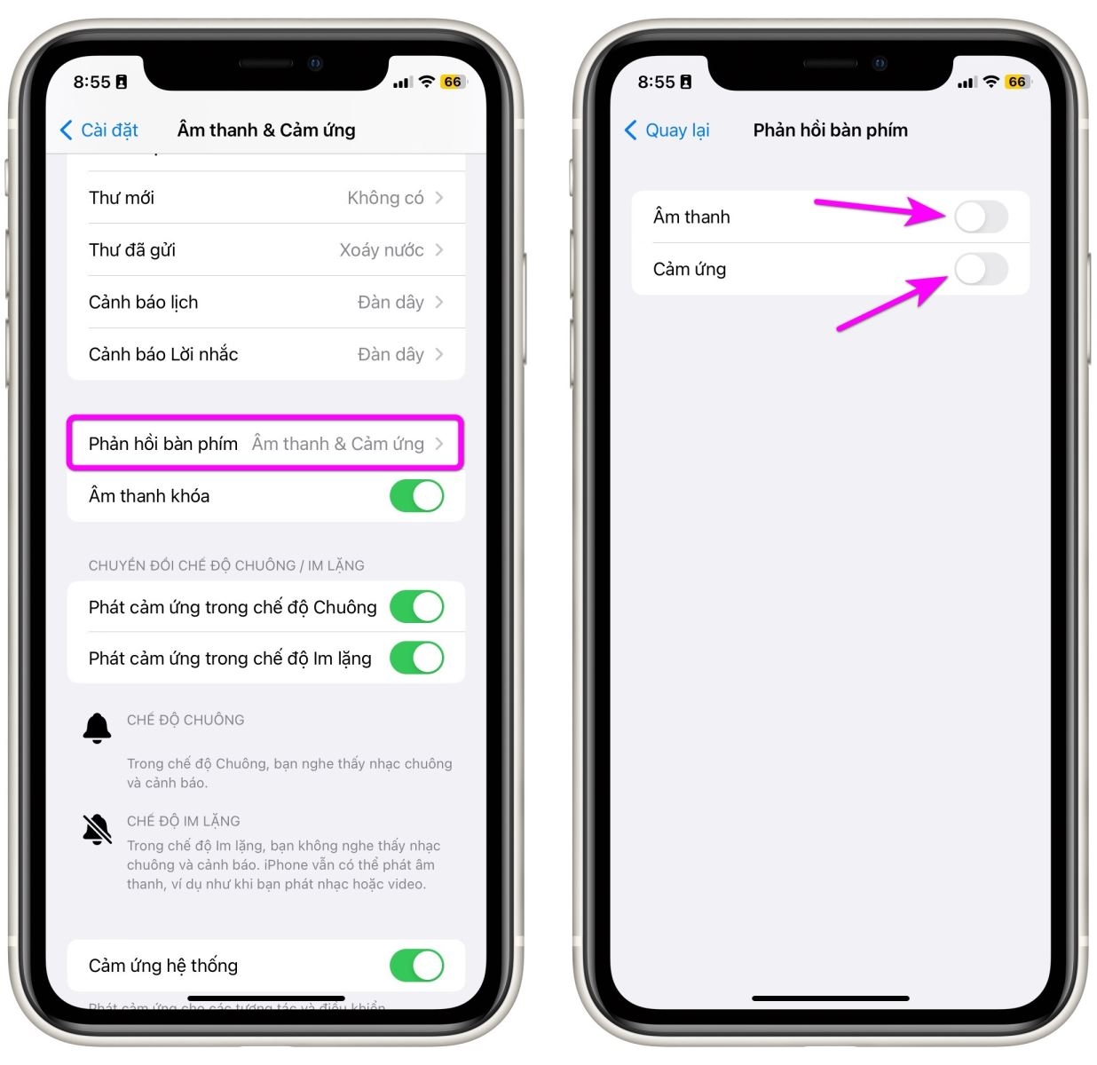 Cách tắt Haptic Keyboard trên iPhone chạy iOS 16 - Ảnh 2