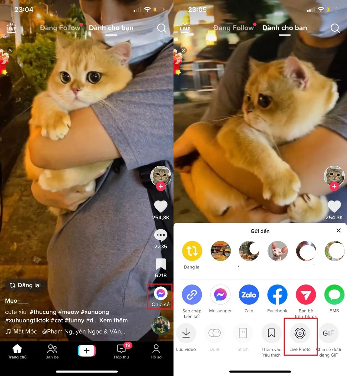 Cách lấy video TikTok làm hình nền trên iOS 1