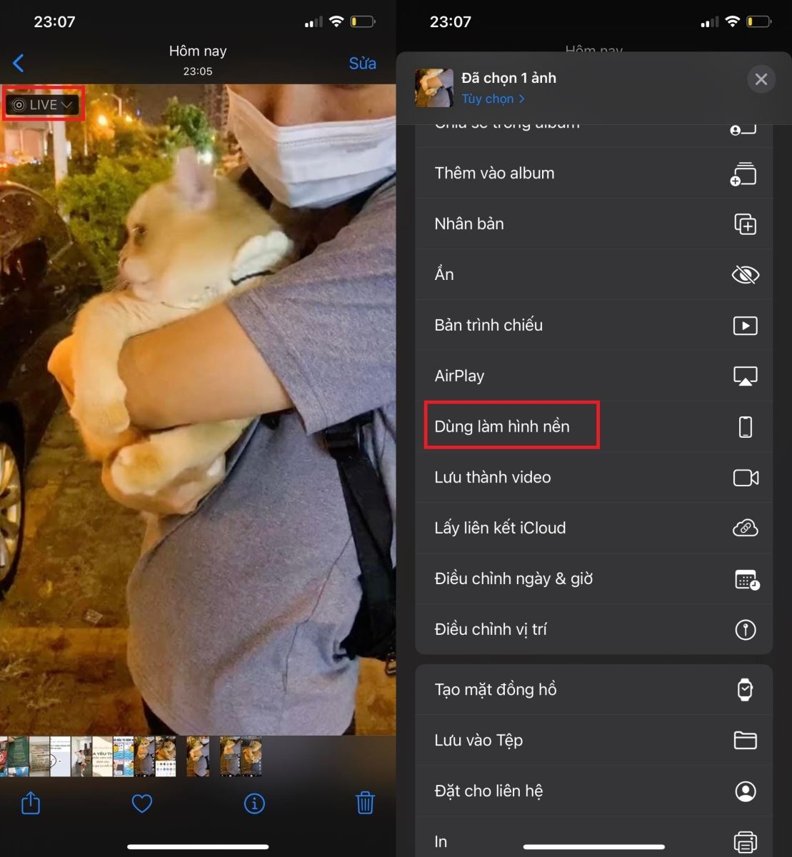 Cách lấy video TikTok làm hình nền trên iOS 2