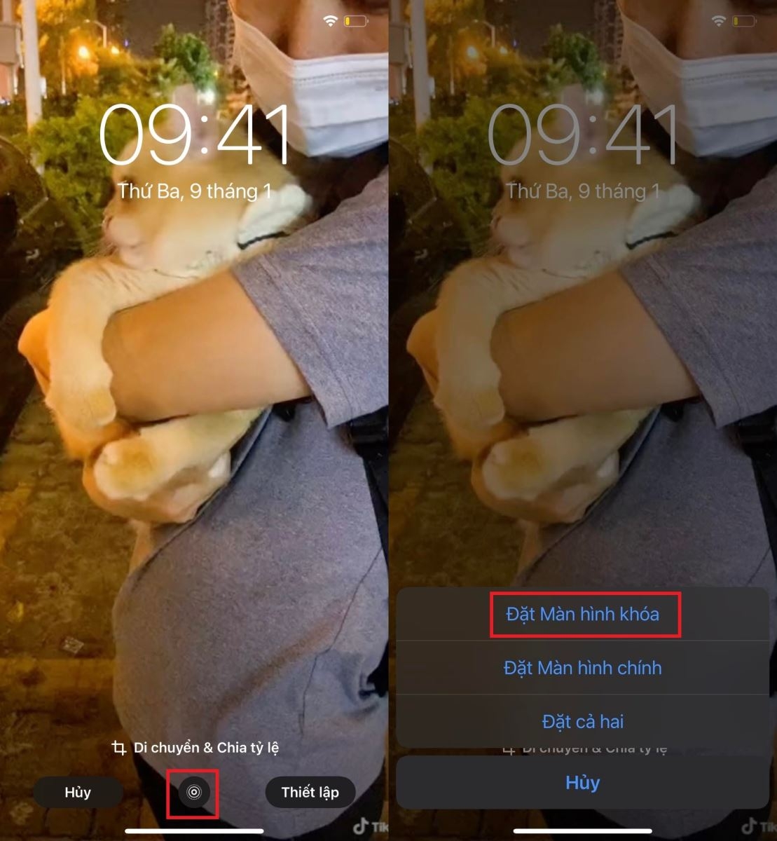 Cách lấy video TikTok làm hình nền trên iOS 3
