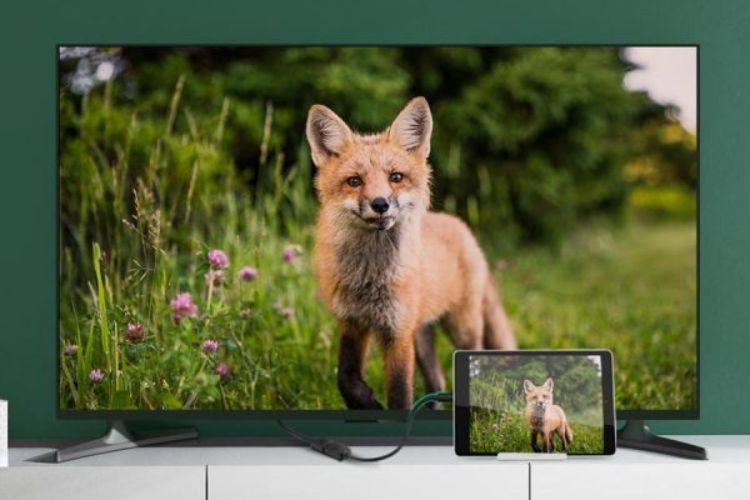 Cáp HDMI là gì (Ảnh 5)