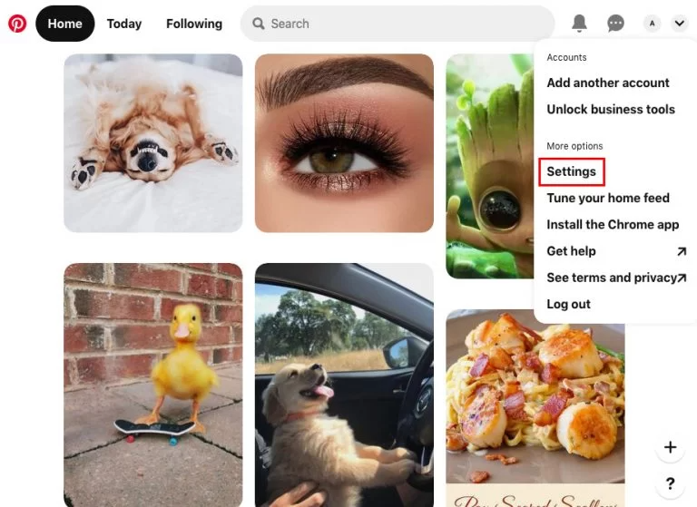 Cách đổi mật khẩu Pinterest trên máy tính