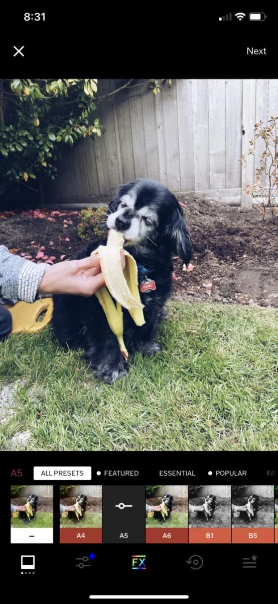 App chỉnh ảnh Instagram - VSCO