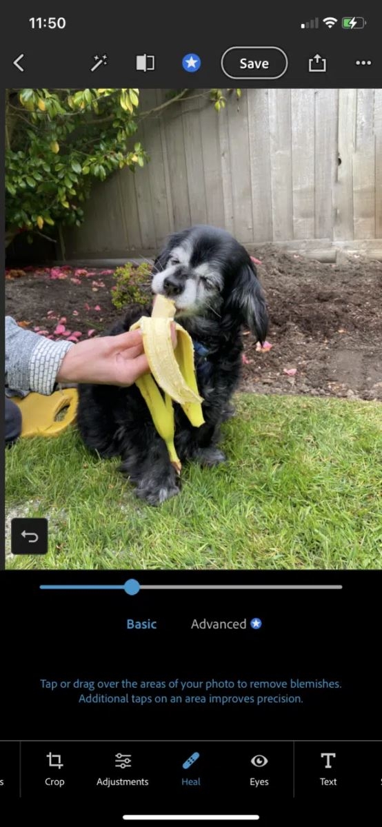 App chỉnh ảnh Instagram - Photoshop Express