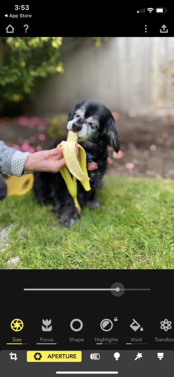 App chỉnh ảnh Instagram - Focos