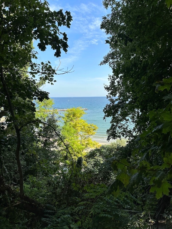 So sánh iPhone 14 Pro Max và iPhone 12 Pro Max 66