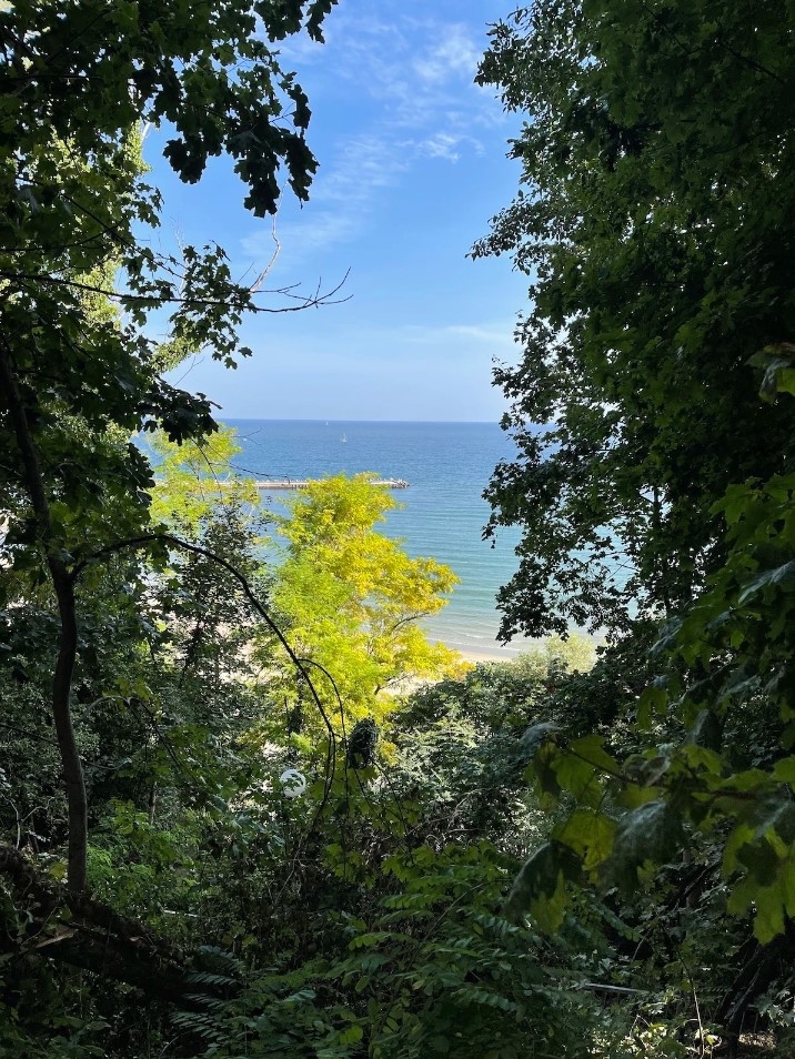 So sánh iPhone 14 Pro Max và iPhone 12 Pro Max 88