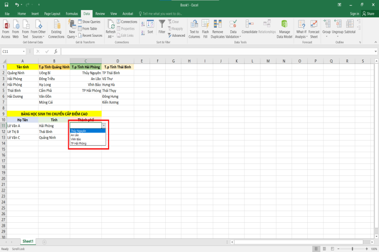 Tạo lựa chọn trong Excel (10)