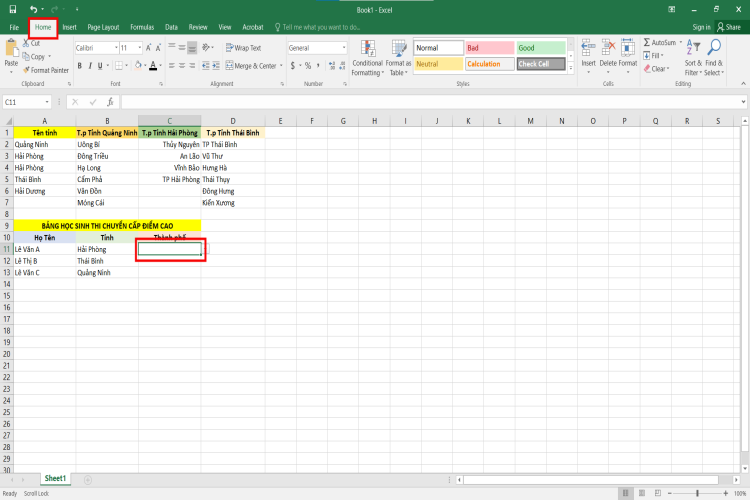 Tạo lựa chọn trong Excel (11)