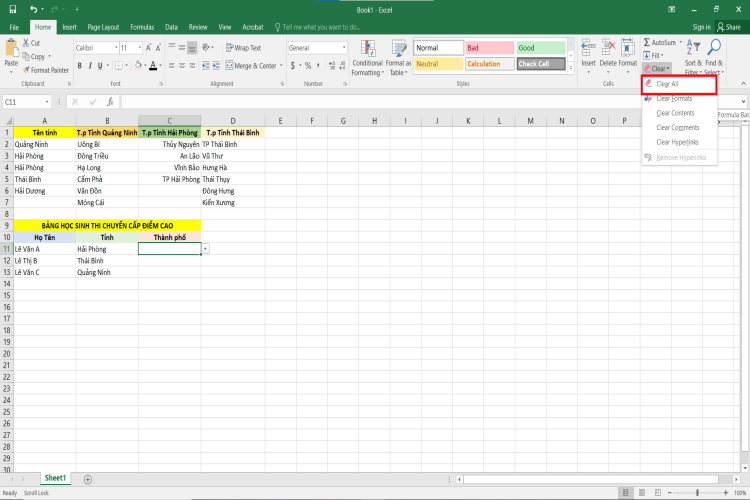 Tạo lựa chọn trong Excel (12)