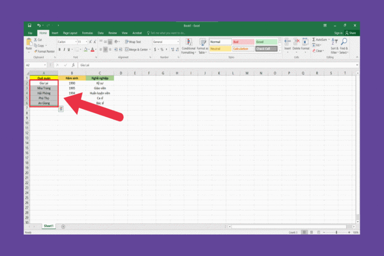 Tạo lựa chọn trong Excel (1)