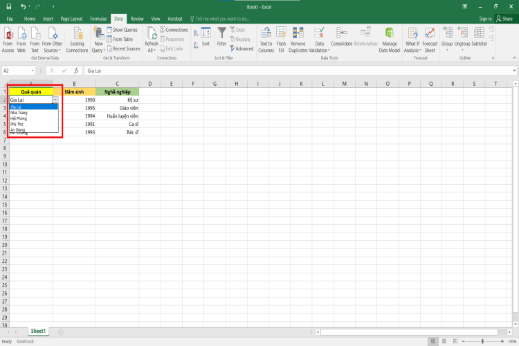 Tạo lựa chọn trong Excel (4)