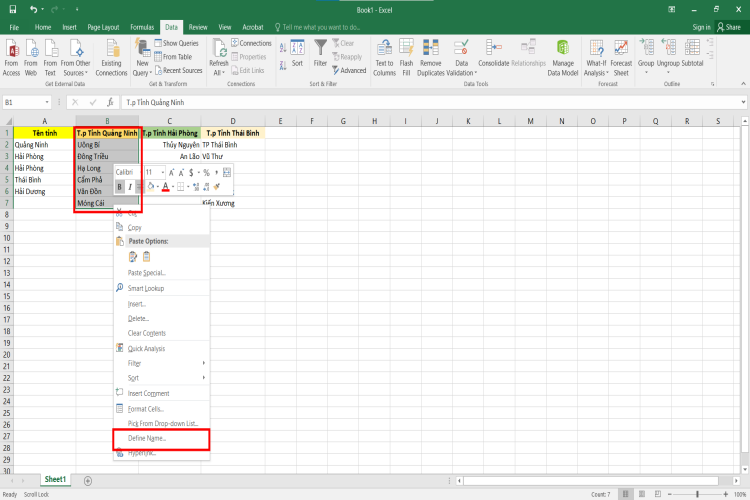 Tạo lựa chọn trong Excel (6)