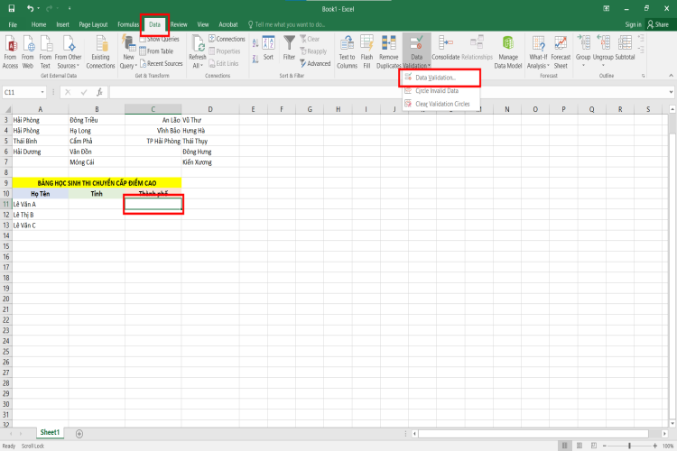 Tạo lựa chọn trong Excel (8)