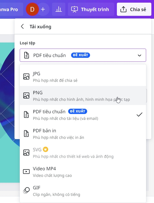 Bật mí cách sử dụng Canva làm PowerPoint (17)