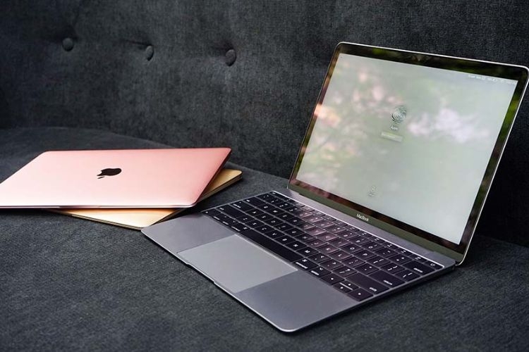 Nên mua laptop bao nhiêu inch (Ảnh 1)