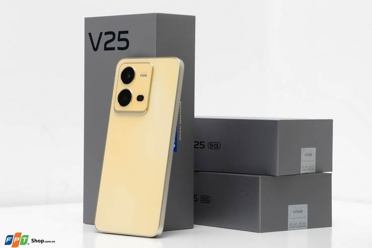 vivo V25 series