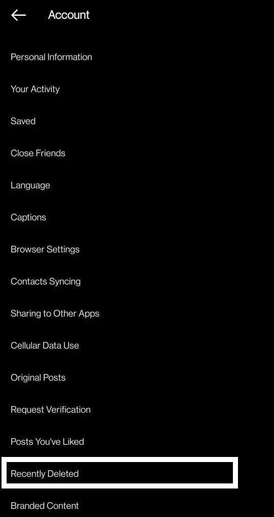 Cách khôi phục story đã xóa trên Instagram (Ảnh 3)