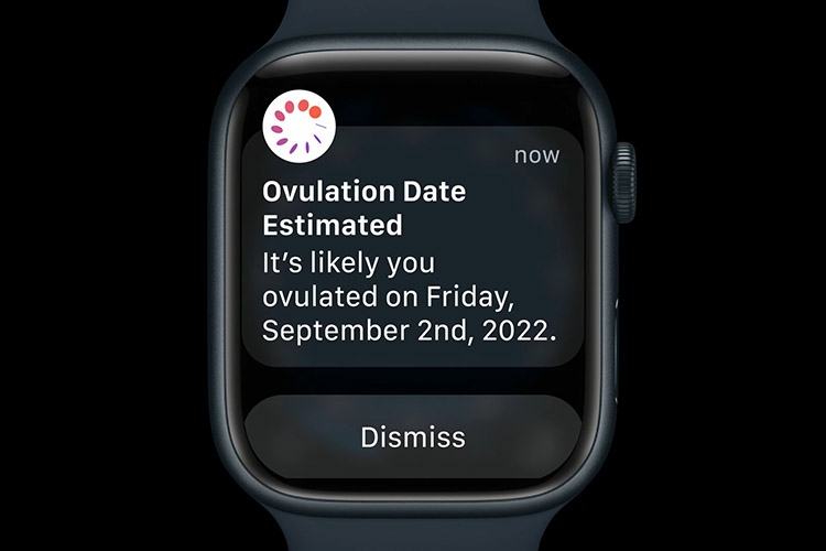 Apple Watch Series 8 có gì hot? 8