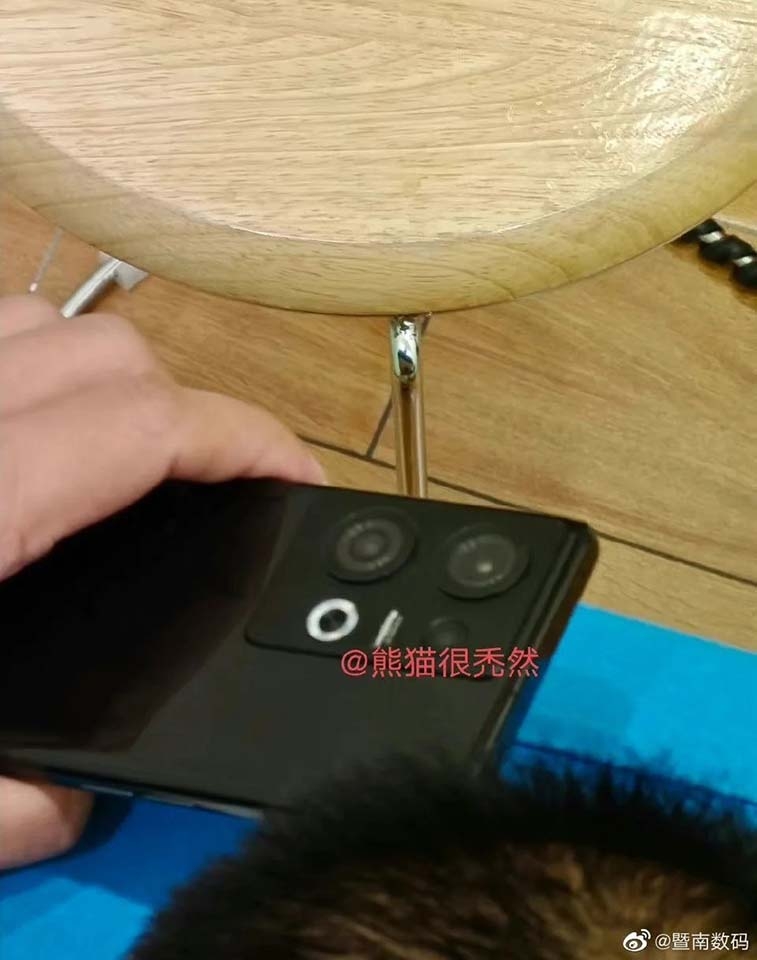Ảnh thực tế OPPO Reno 9 (ảnh 1)