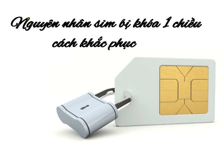 Sim bị khóa 1 chiều là gì?