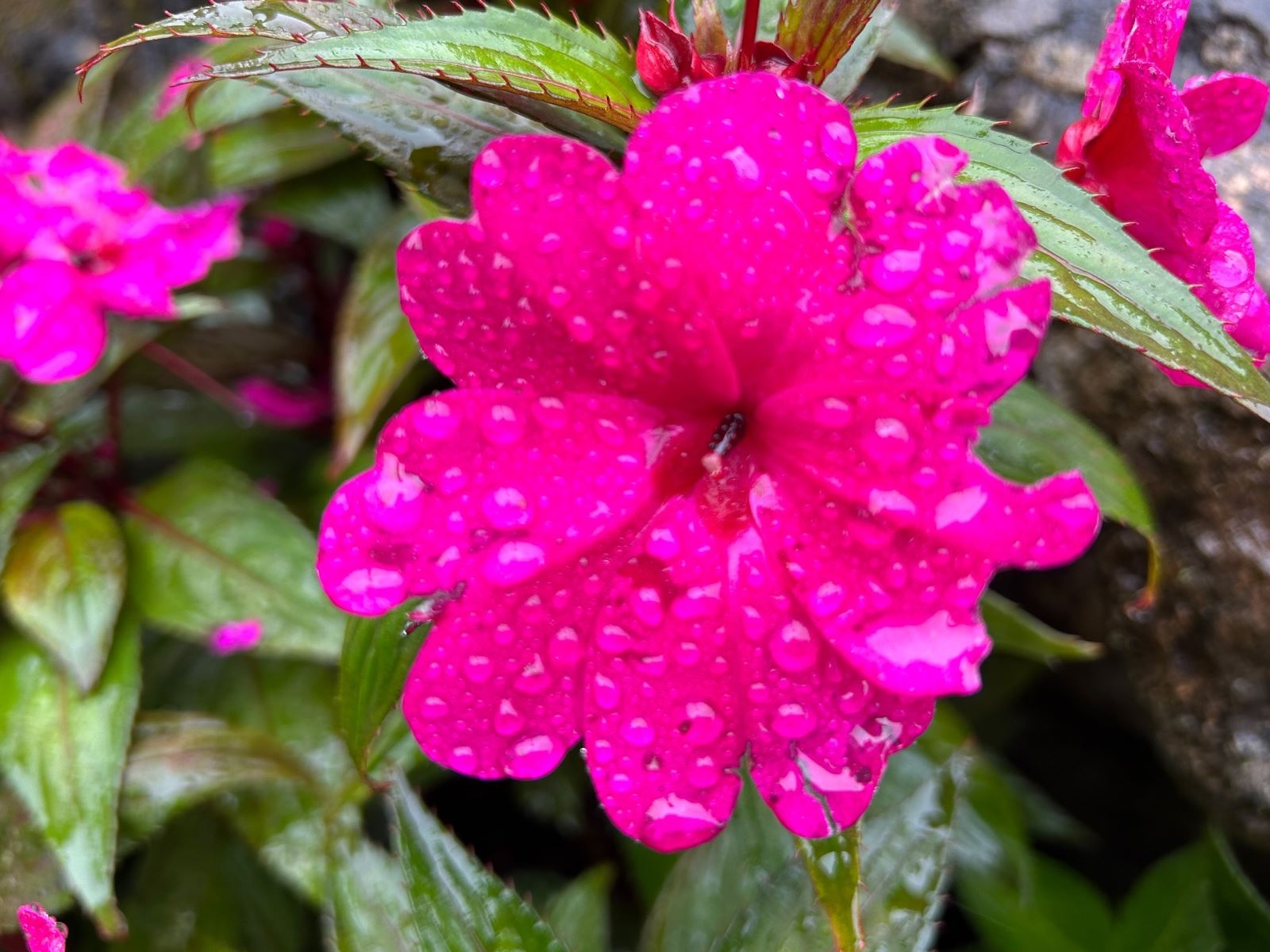 Đánh giá iPhone 14 Plus 11 Đánh giá iPhone 14 Plus 11