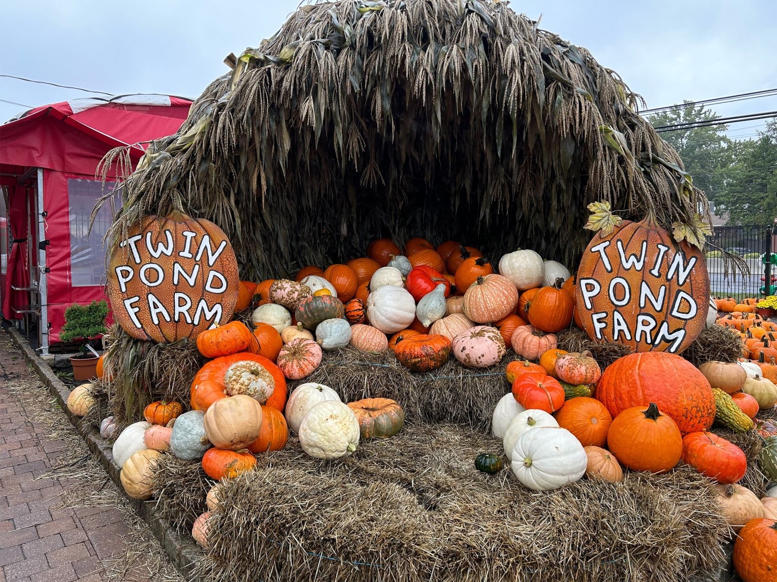 Đánh giá iPhone 14 Plus 10 Đánh giá iPhone 14 Plus 10