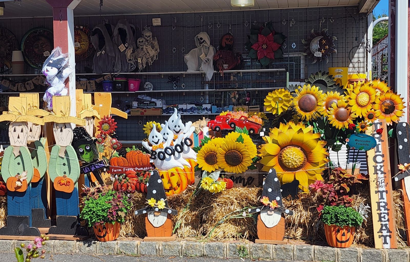 iPhone 14 Pro Max 07 iPhone 14 Pro Max 07