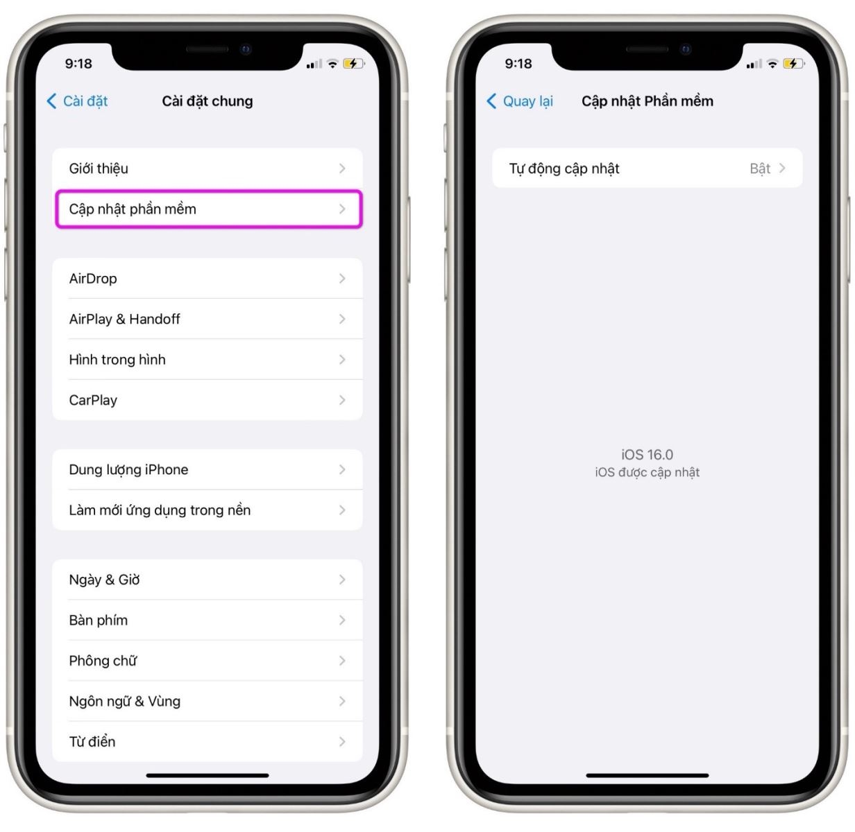 Cách sửa lỗi SIM không được hỗ trợ trên iPhone 14 - Ảnh 5