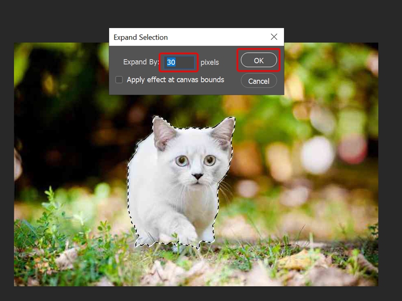 Cách xóa vật thể thừa trong Photoshop cực đơn giản