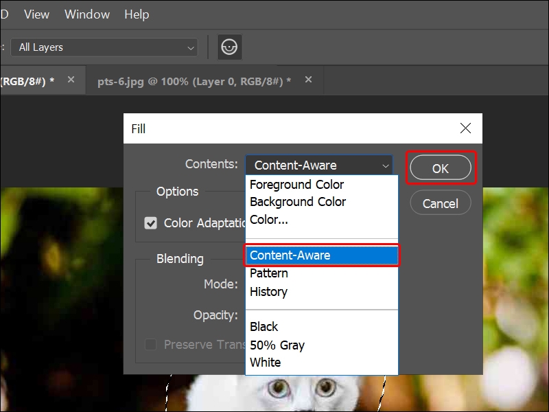Cách xóa vật thể thừa trong Photoshop cực đơn giản