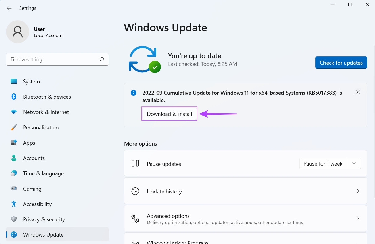Hướng dẫn cách sửa lỗi tập tin bị hỏng trên Windows 11 (9)