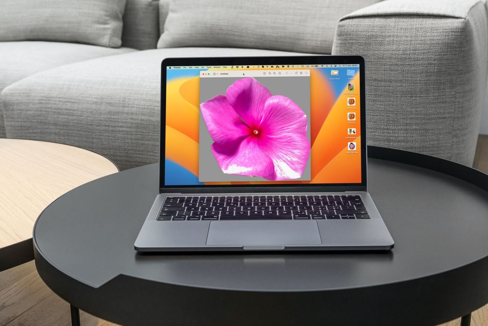 Cách tách nhanh nền ảnh trên macOS Ventura - Ảnh 1