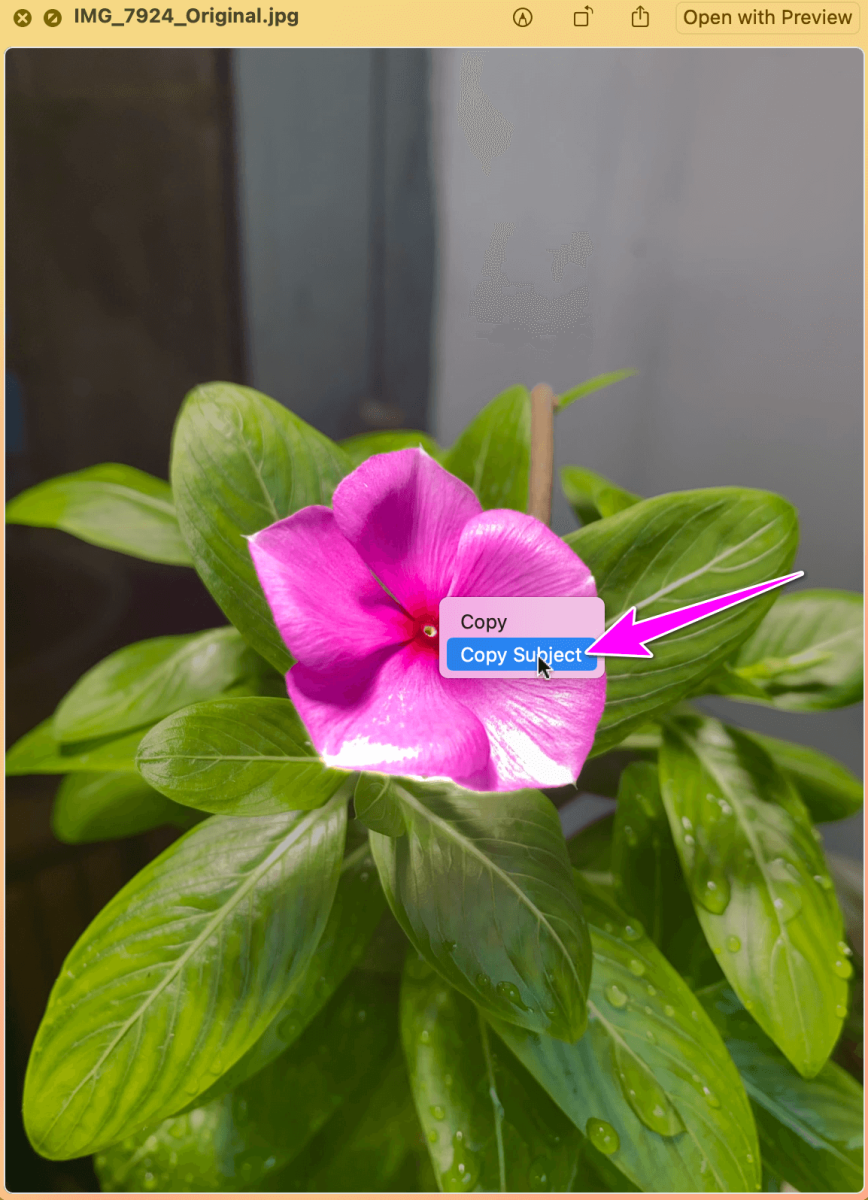 Cách tách nhanh nền ảnh trên macOS Ventura - Ảnh 3