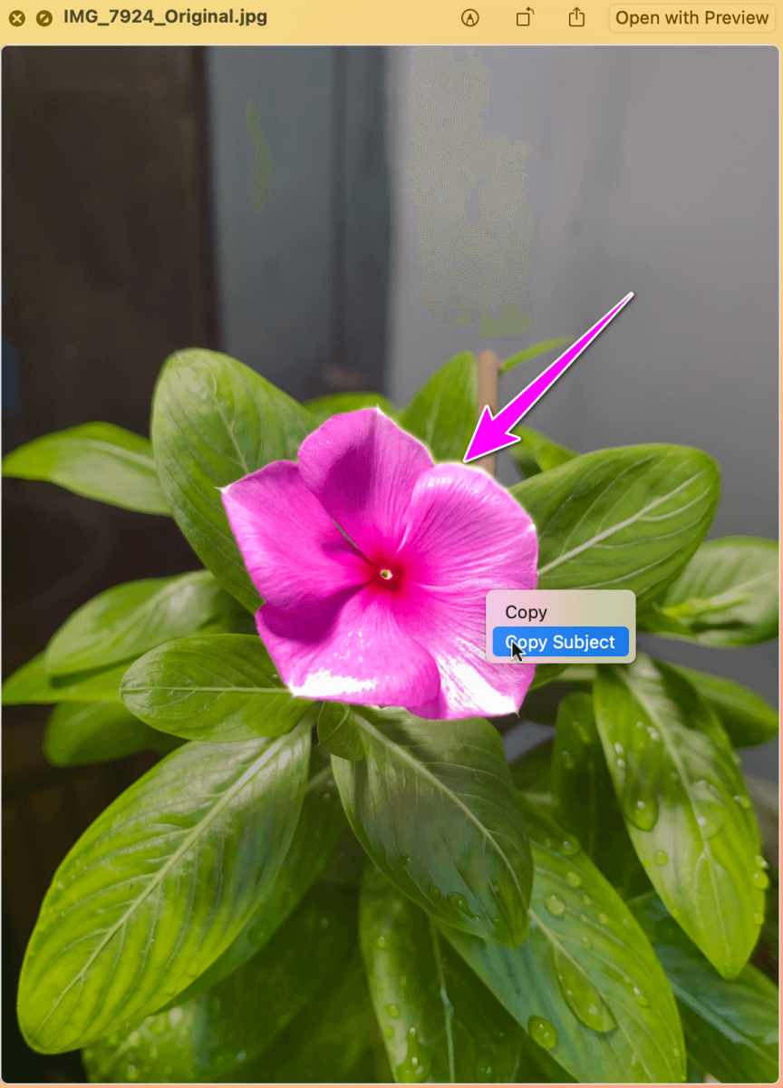 Cách tách nhanh nền ảnh trên macOS Ventura - Ảnh 2