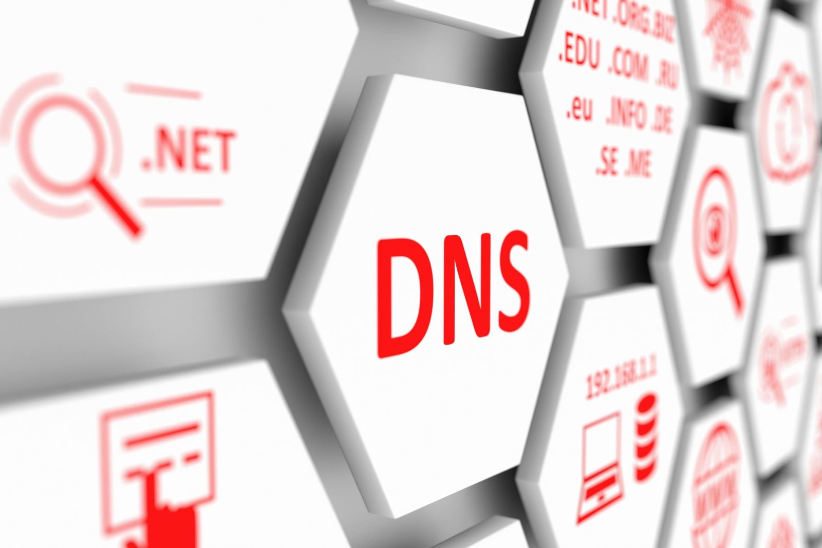 DNS Windows 11 là gì