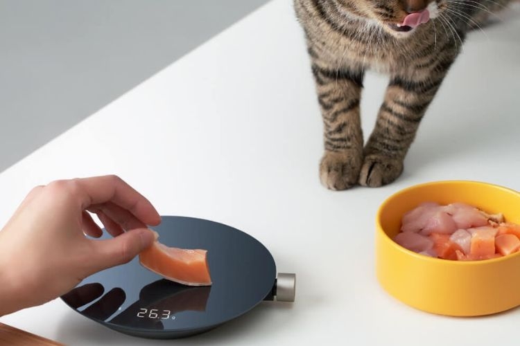 Cân tiểu ly Xiaomi cho độ chính xác cao