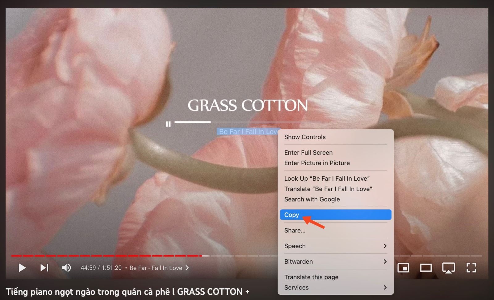 sao chép văn bản trong hình ảnh