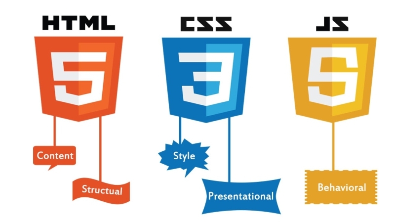 JavaScript là gì?