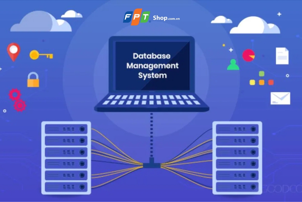 Phần mềm quản lý cơ sở dữ liệu là gì