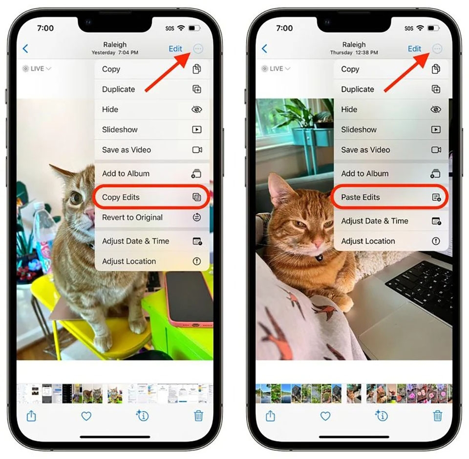 Mẹo sử dụng iPhone (ảnh 11)