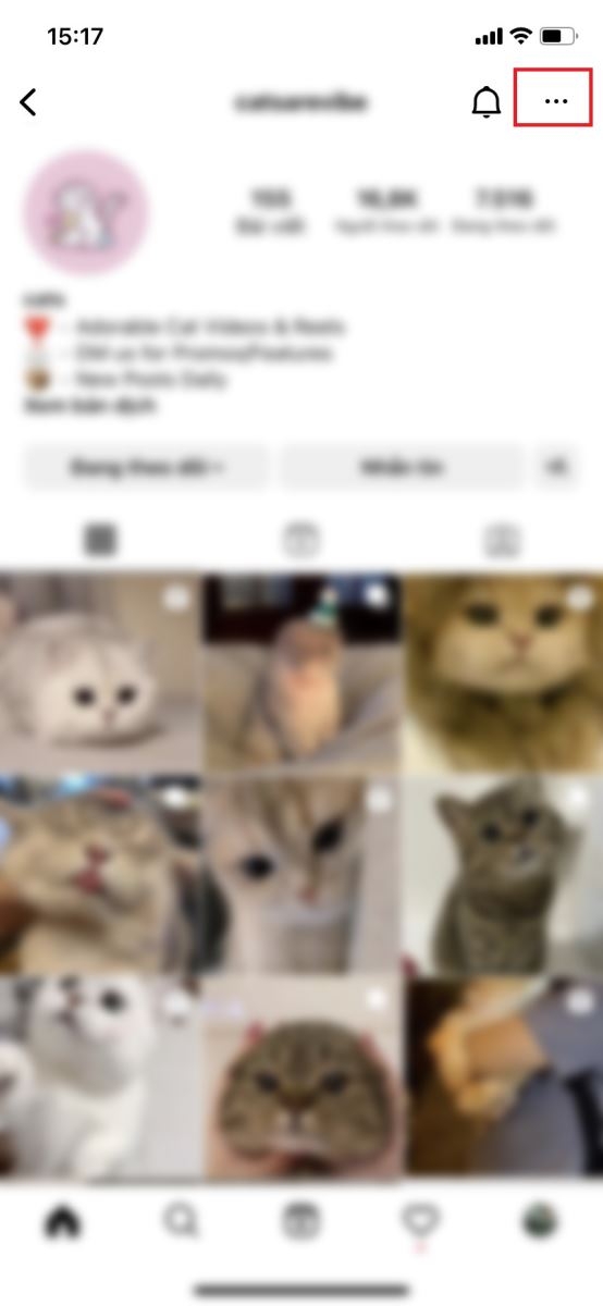 Cách chặn trên Instagram (Ảnh 1)