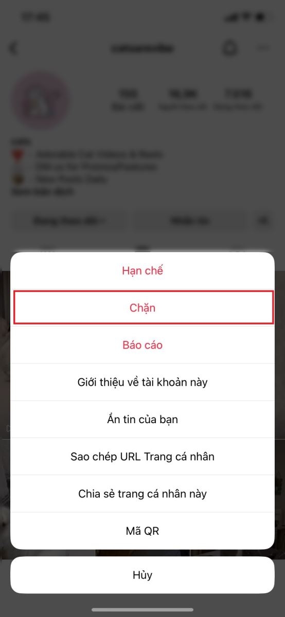 Cách chặn trên Instagram (Ảnh 2)