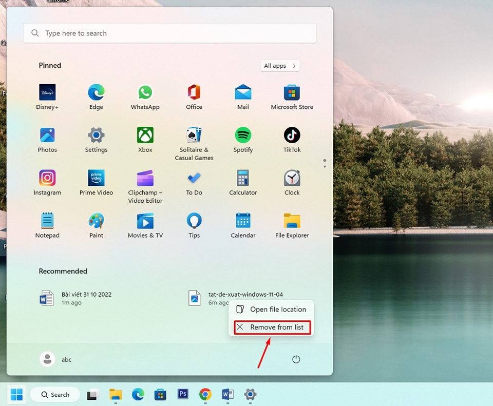 Tắt Recommended trong Windows 11 - Ảnh 08
