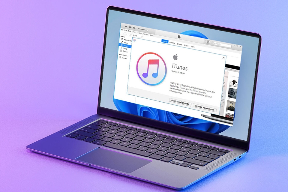 Tải iTunes cho Windows 11 - Ảnh 01