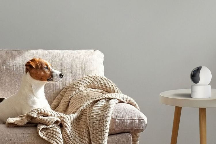 Hướng dẫn thay đổi Wifi cho camera Xiaomi