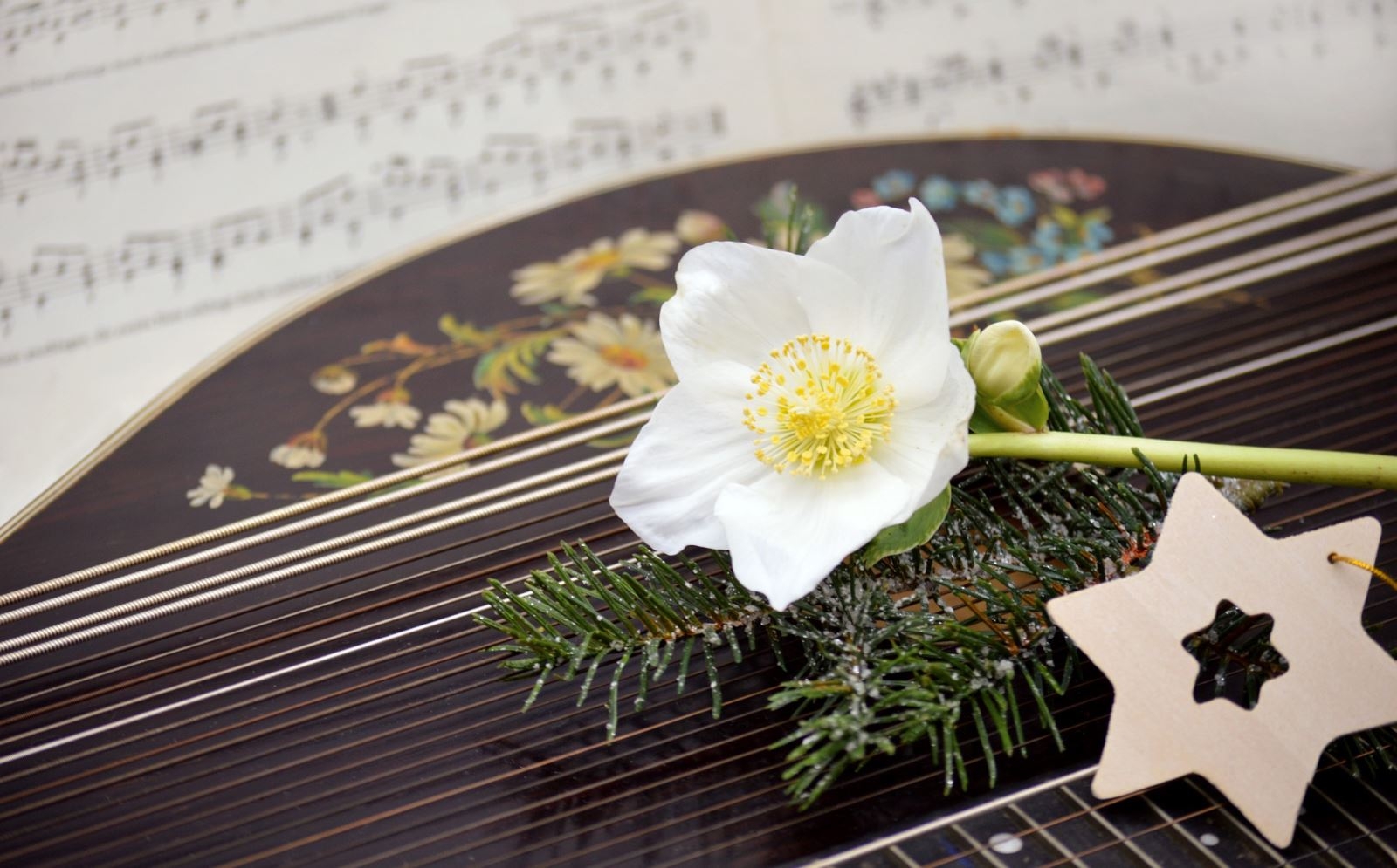 Ảnh Giáng Sinh đẹp lung linh